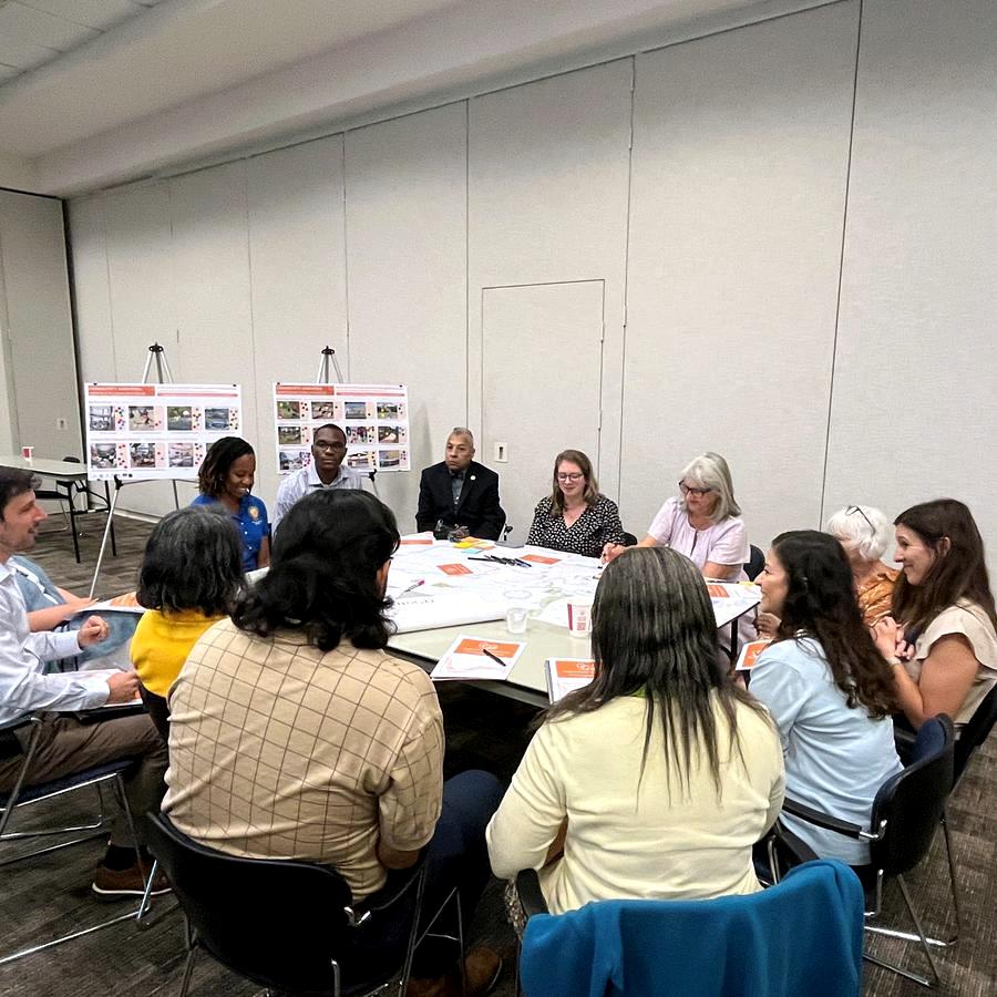 Rushka Tcholakova facilitating a community planning meeting